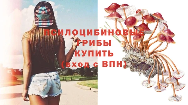 ECSTASY Алексин