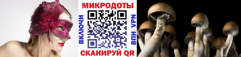 Псилоцибиновые грибы Psilocybine cubensis  MEGA ссылка  Гаврилов Посад 